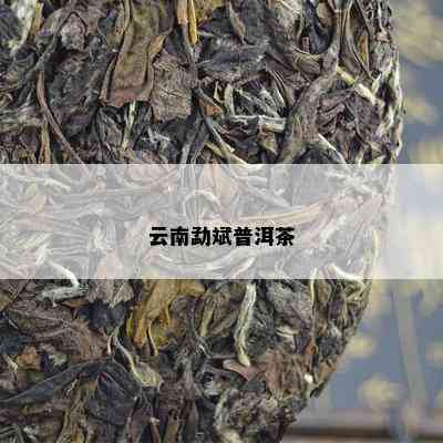 云南勐斌普洱茶