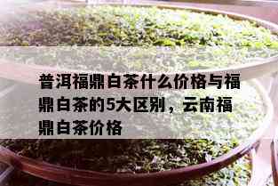 普洱福鼎白茶什么价格与福鼎白茶的5大区别，云南福鼎白茶价格