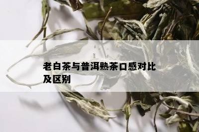 老白茶与普洱熟茶口感对比及区别