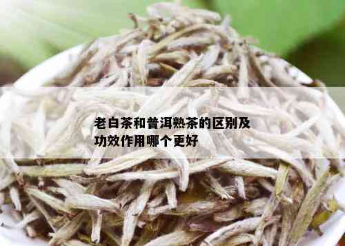 老白茶和普洱熟茶的区别及功效作用哪个更好