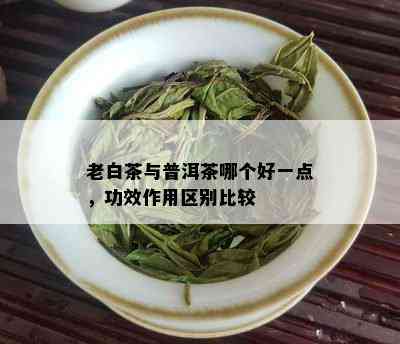 老白茶与普洱茶哪个好一点，功效作用区别比较