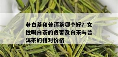 老白茶和普洱茶哪个好？女性喝白茶的危害及白茶与普洱茶的相对价格