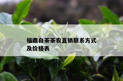 福鼎白茶茶农直销联系方式及价格表