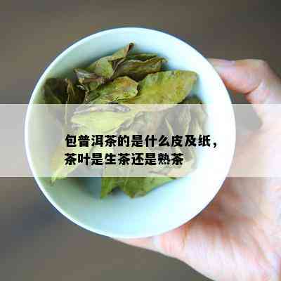 包普洱茶的是什么皮及纸，茶叶是生茶还是熟茶