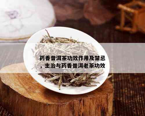 药香普洱茶功效作用及禁忌，主治与药香普洱老茶功效