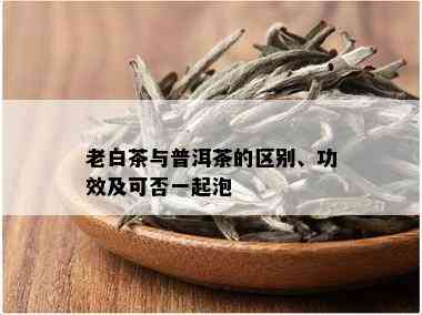 老白茶与普洱茶的区别、功效及可否一起泡