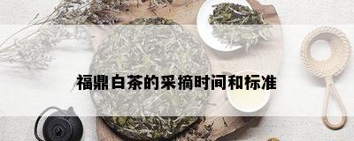 福鼎白茶的采摘时间和标准