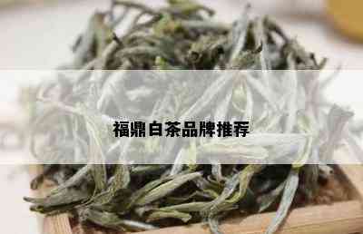 福鼎白茶品牌推荐