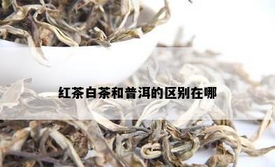 红茶白茶和普洱的区别在哪