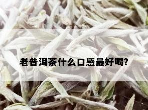 老普洱茶什么口感更好喝？