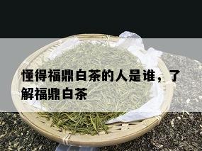 懂得福鼎白茶的人是谁，了解福鼎白茶