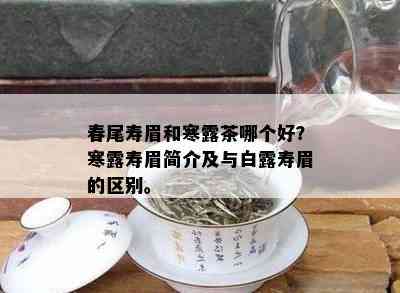 春尾寿眉和寒露茶哪个好？寒露寿眉简介及与白露寿眉的区别。