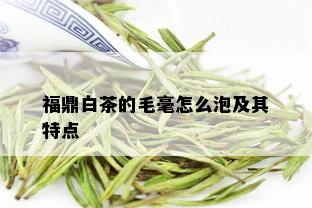 福鼎白茶的毛毫怎么泡及其特点