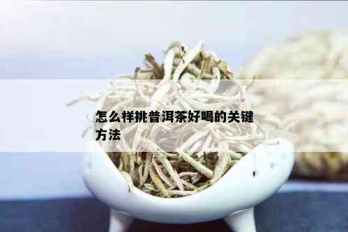 怎么样挑普洱茶好喝的关键方法