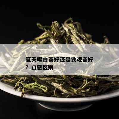 夏天喝白茶好还是铁观音好？口感区别