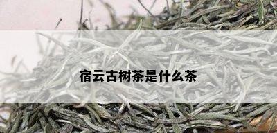 宿云古树茶是什么茶