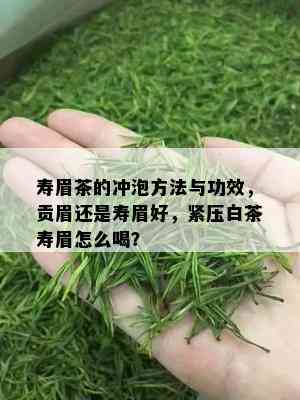 寿眉茶的冲泡方法与功效，贡眉还是寿眉好，紧压白茶寿眉怎么喝？