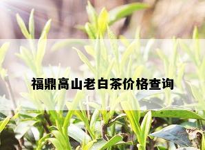 福鼎高山老白茶价格查询