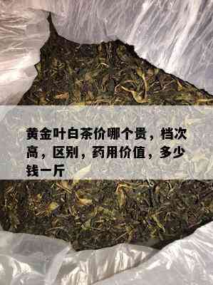 黄金叶白茶价哪个贵，档次高，区别，药用价值，多少钱一斤