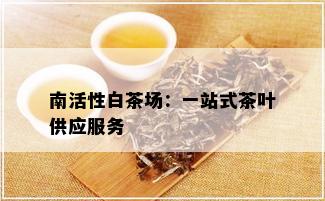 南活性白茶场：一站式茶叶供应服务