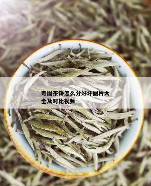 寿眉茶饼怎么分好坏图片大全及对比视频