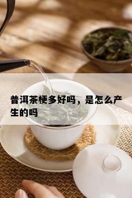 普洱茶梗多好吗，是怎么产生的吗