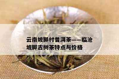 云南坡脚村普洱茶——临沧坡脚古树茶特点与价格