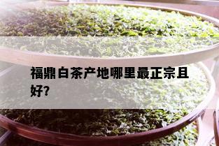 福鼎白茶产地哪里最正宗且好？