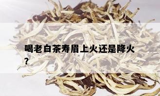 喝老白茶寿眉上火还是降火？