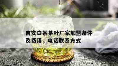 吉安白茶茶叶厂家加盟条件及费用，电话联系方式