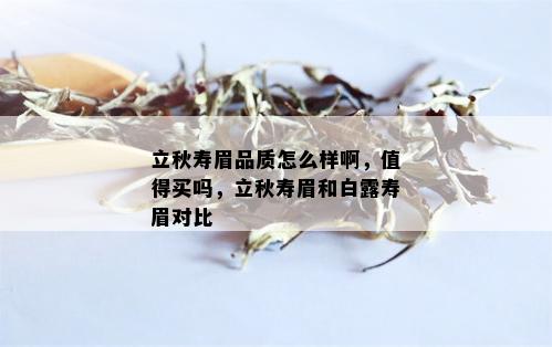 立秋寿眉品质怎么样啊，值得买吗，立秋寿眉和白露寿眉对比