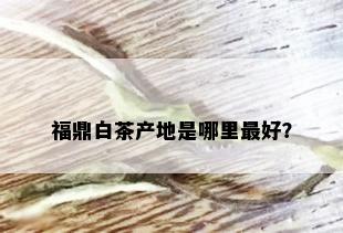 福鼎白茶产地是哪里更好？