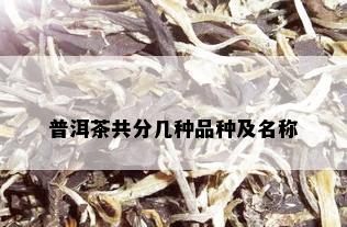 普洱茶共分几种品种及名称