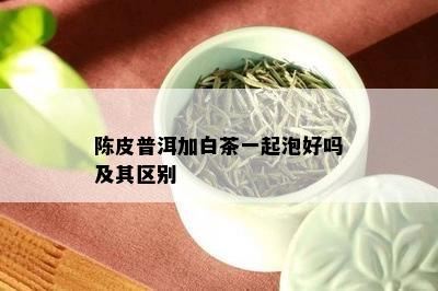 陈皮普洱加白茶一起泡好吗及其区别