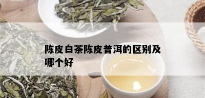 陈皮白茶陈皮普洱的区别及哪个好