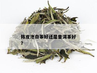 陈皮泡白茶好还是普洱茶好？