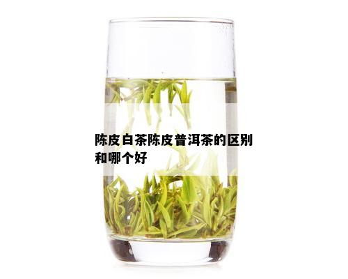 陈皮白茶陈皮普洱茶的区别和哪个好