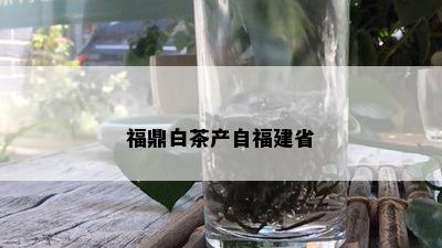 福鼎白茶产自福建省