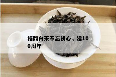 福鼎白茶不忘初心，建100周年