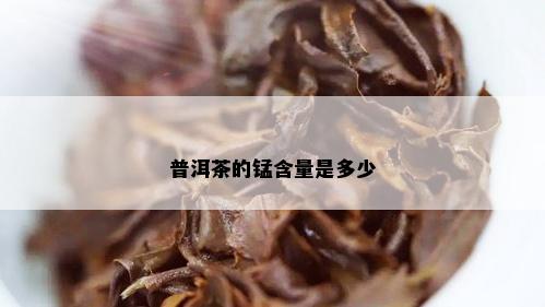 普洱茶的锰含量是多少