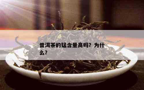 普洱茶的锰含量高吗？为什么？