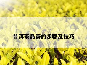 普洱茶品茶的步骤及技巧