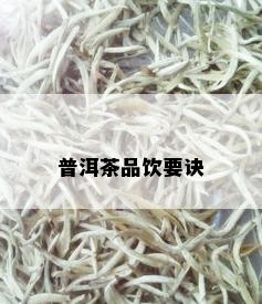 普洱茶品饮要诀