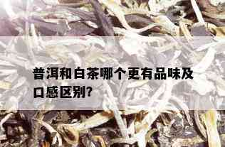 普洱和白茶哪个更有品味及口感区别？