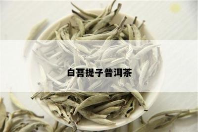 白菩提子普洱茶