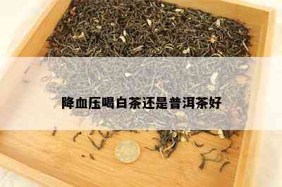 降血压喝白茶还是普洱茶好