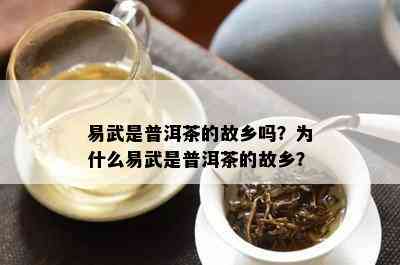 易武是普洱茶的故乡吗？为什么易武是普洱茶的故乡？