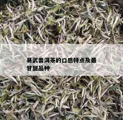 易武普洱茶的口感特点及最甘甜品种