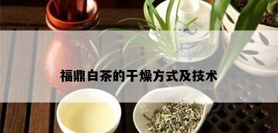 福鼎白茶的干燥方式及技术