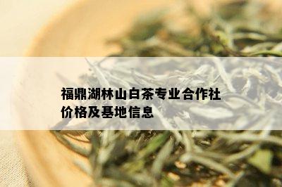 福鼎湖林山白茶专业合作社价格及基地信息